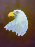 /album/i-love-country/adler-jpg/